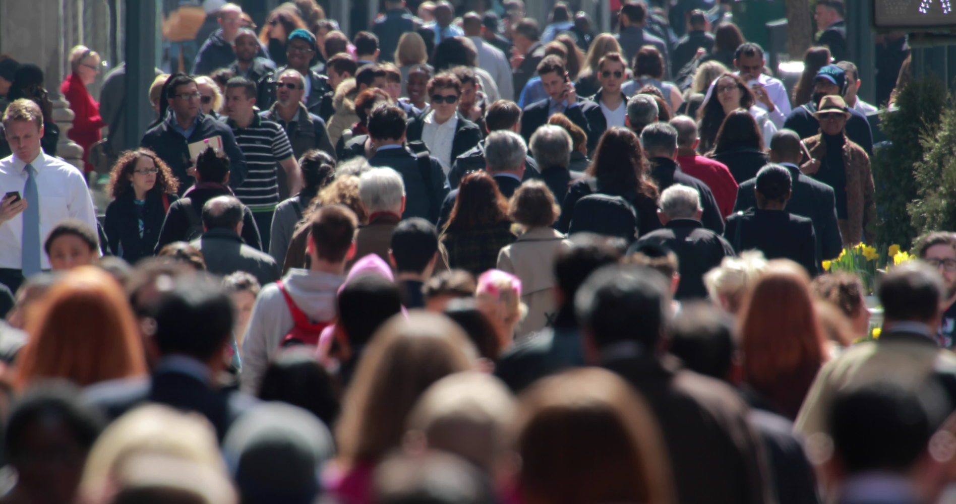 România se pregătește de un nou recensământ care va avea loc in 2021